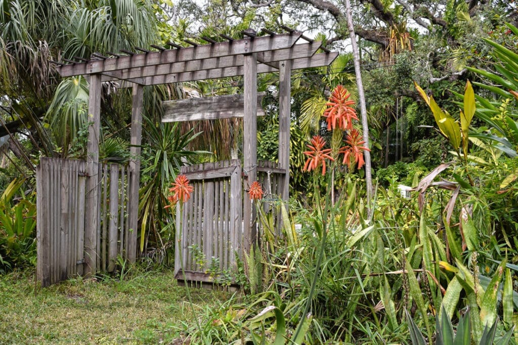 Sarasota Succulent Society Gardens